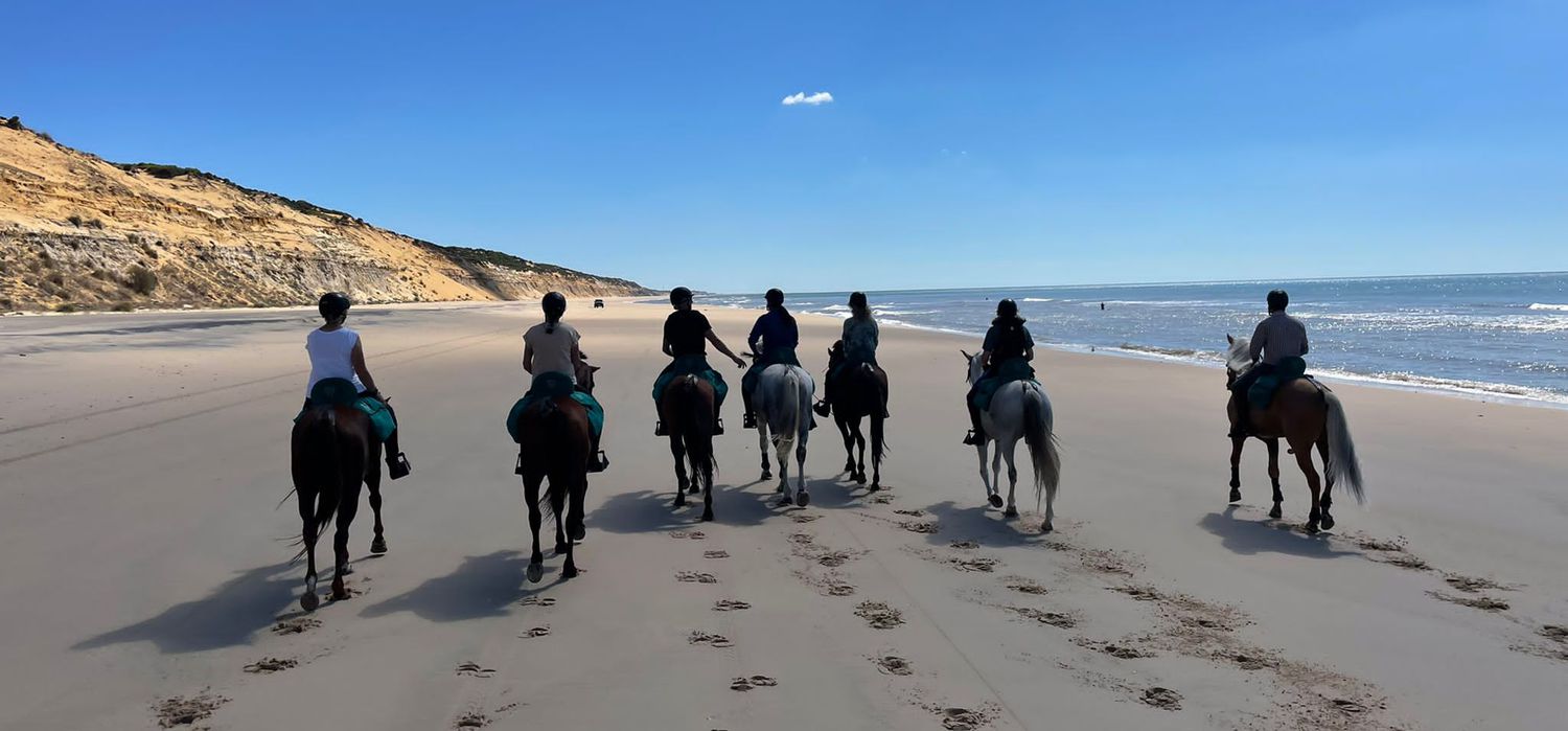 Photo from the Doñana National Park Trail (Spain) ride.