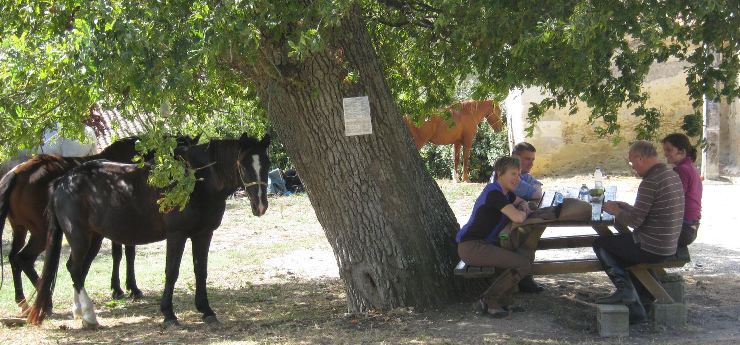 Photo from the A Taste of Armagnac (Unguided) (France) ride.