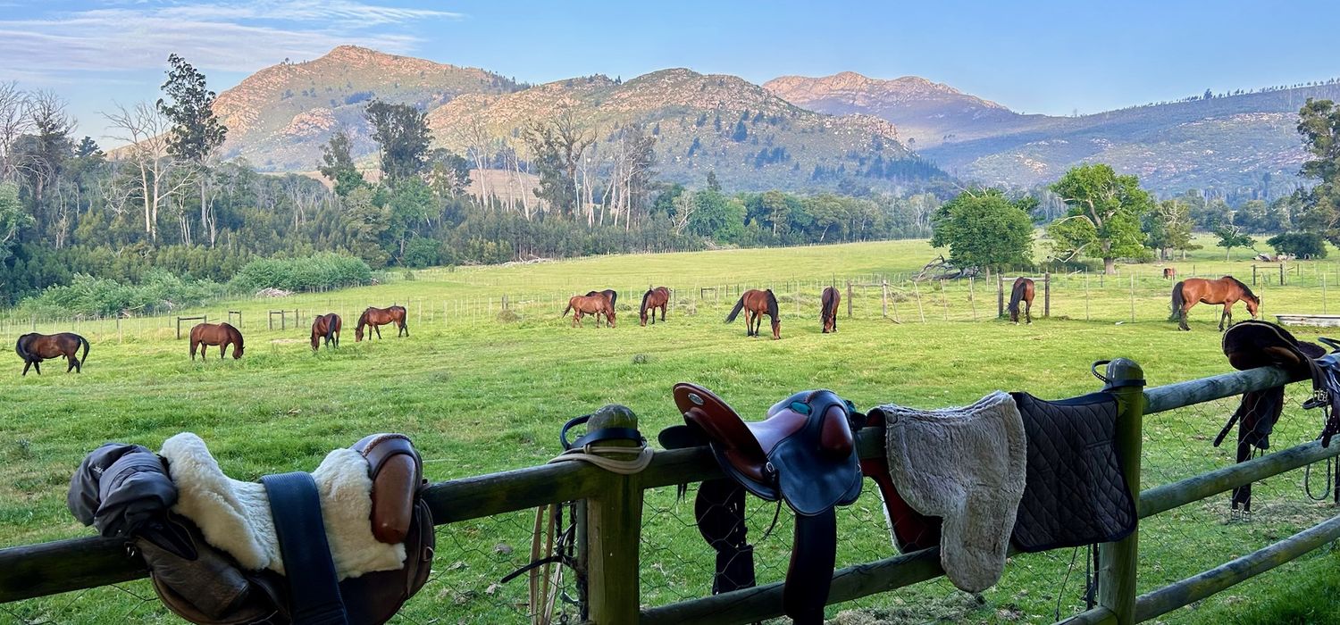 Photo from the Ride the Klein Karoo ride.