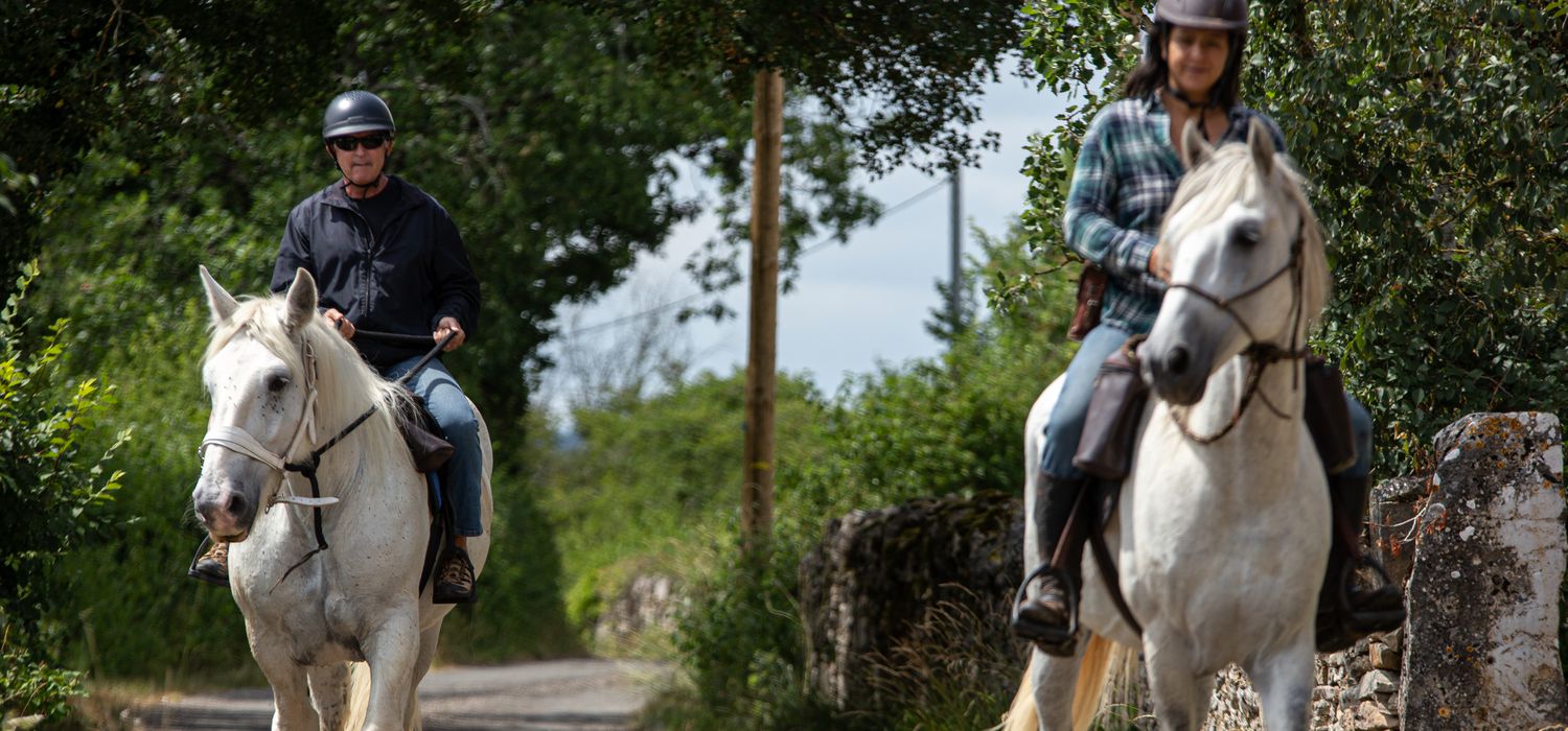 Horse riding holidays in France (14 destinations) Far and Ride