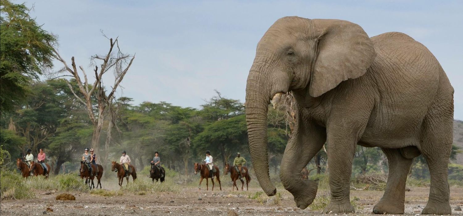 Photo from the Kaskazi Horse Safaris (Tanzania) ride.