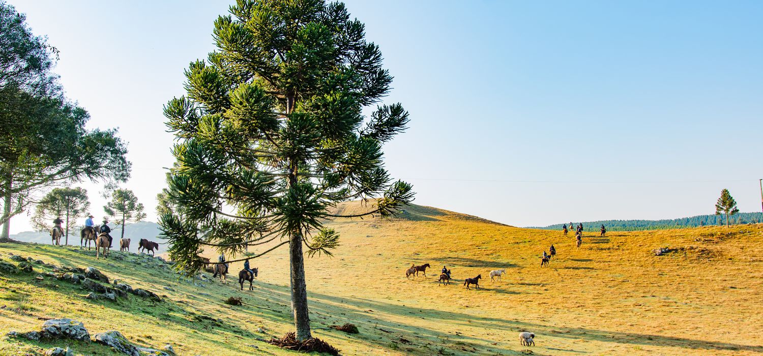 Photo from the Gaucho Experience ride.