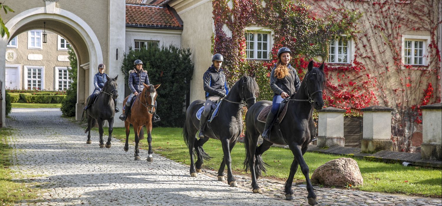 Photo from the Galiny Palace (Poland) ride.