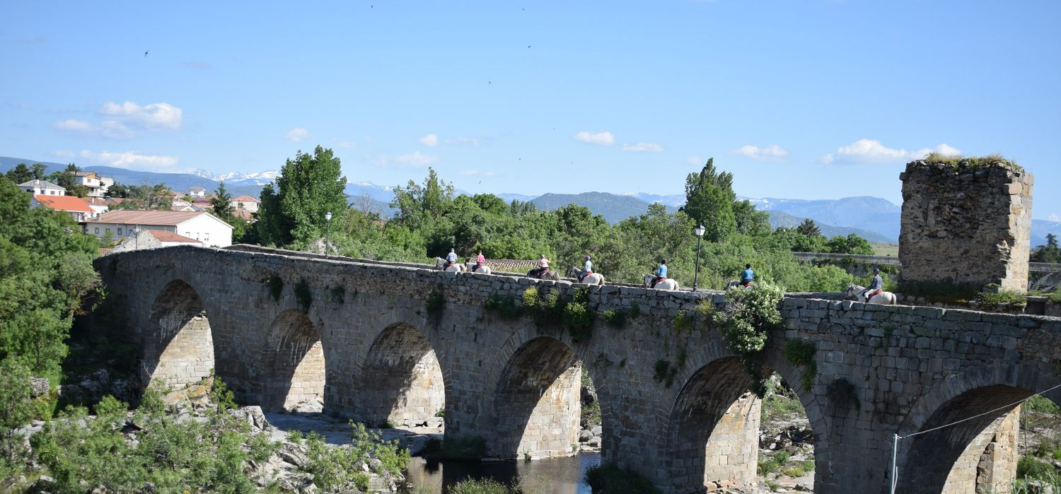 Photo from the Sierra de Gredos ride.
