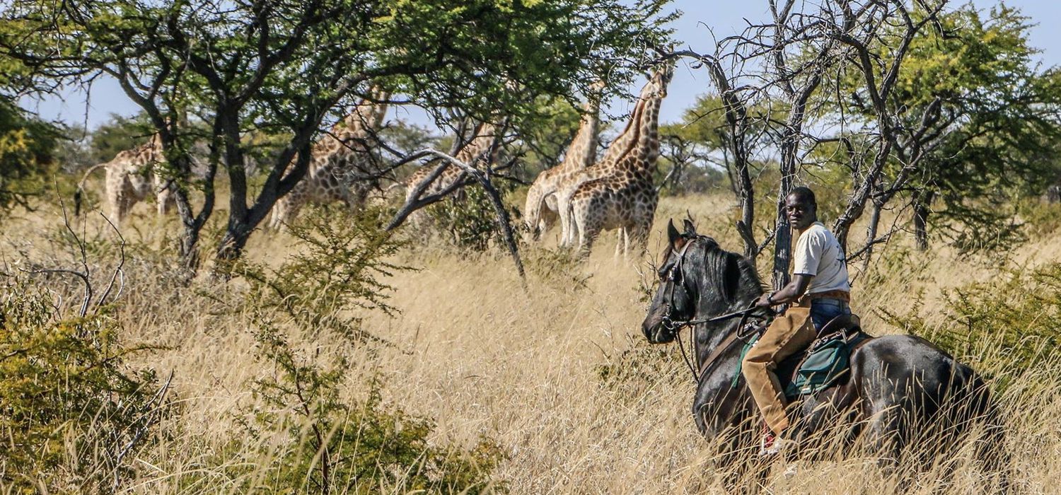 varden horse riding safaris