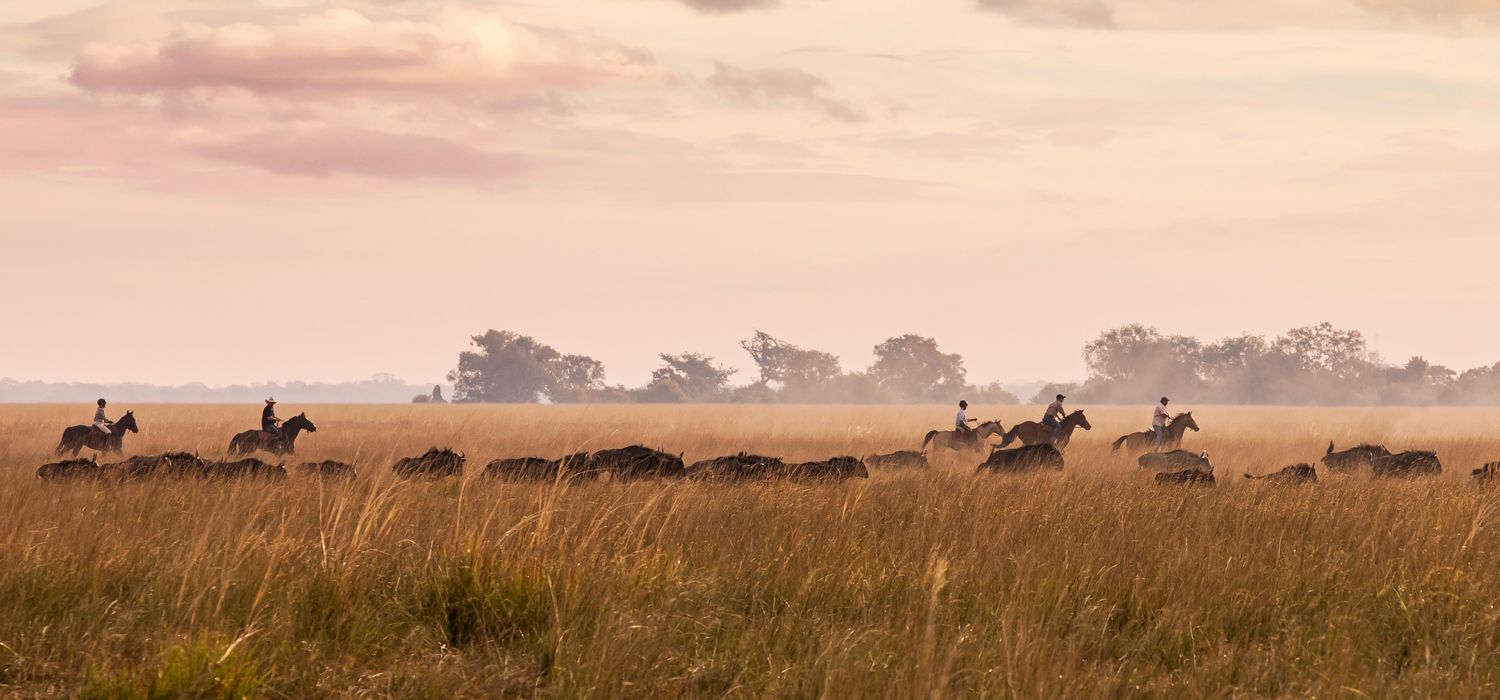 Photo from the Zambian Horseback Safaris (Zambia) ride.