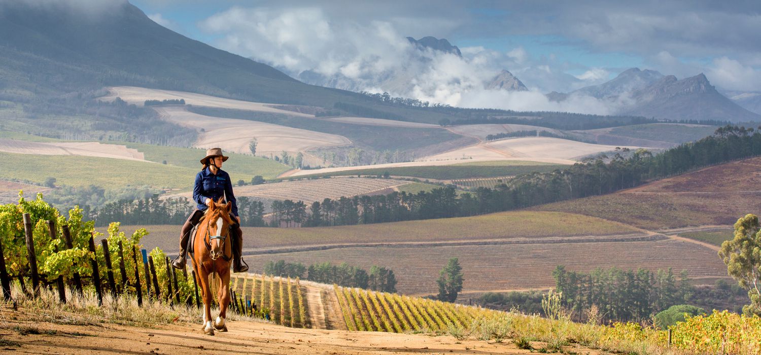 Photo from the Cape Winelands ride.