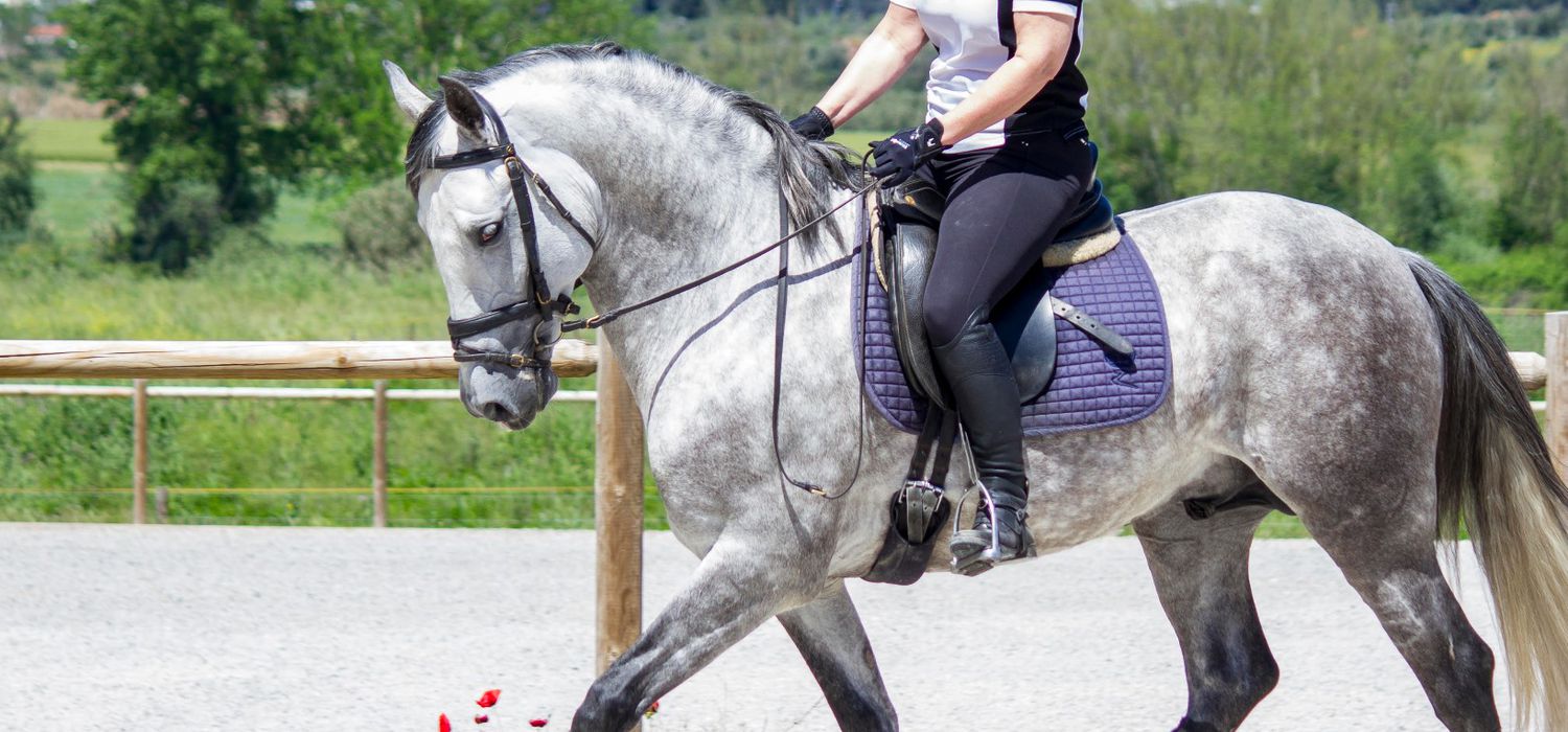 Photo from the Vale de Ferreiros (Portugal) ride.