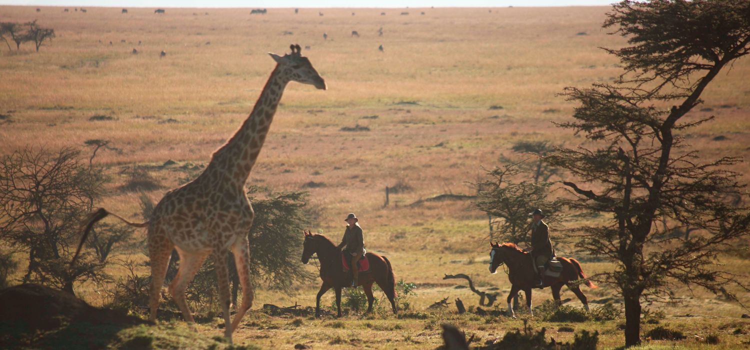 Photo from the Safaris Unlimited (Kenya) ride.