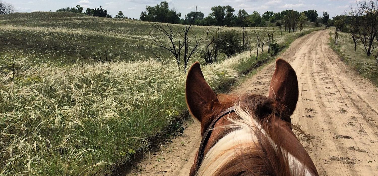 Photo from the Western Ranch (El Bronco) ride.
