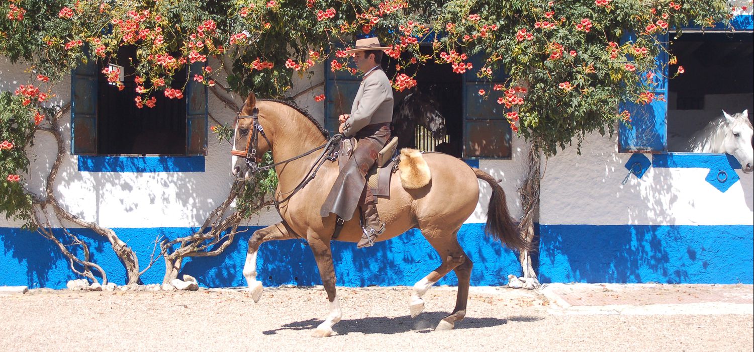 A view of the Quinta dos Pinheiros ride in Portugal