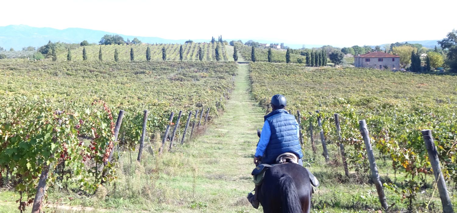 Photo from the Chianti Hills ride.