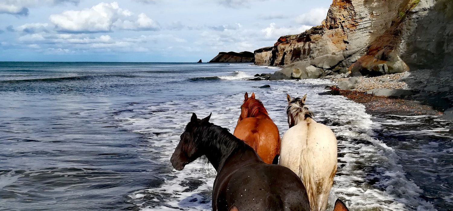 Photo from the Tierra del Fuego (Argentina) ride.