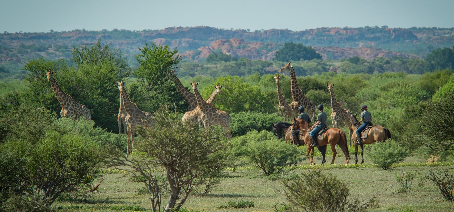 Photo from the Horizon African Explorer ride.
