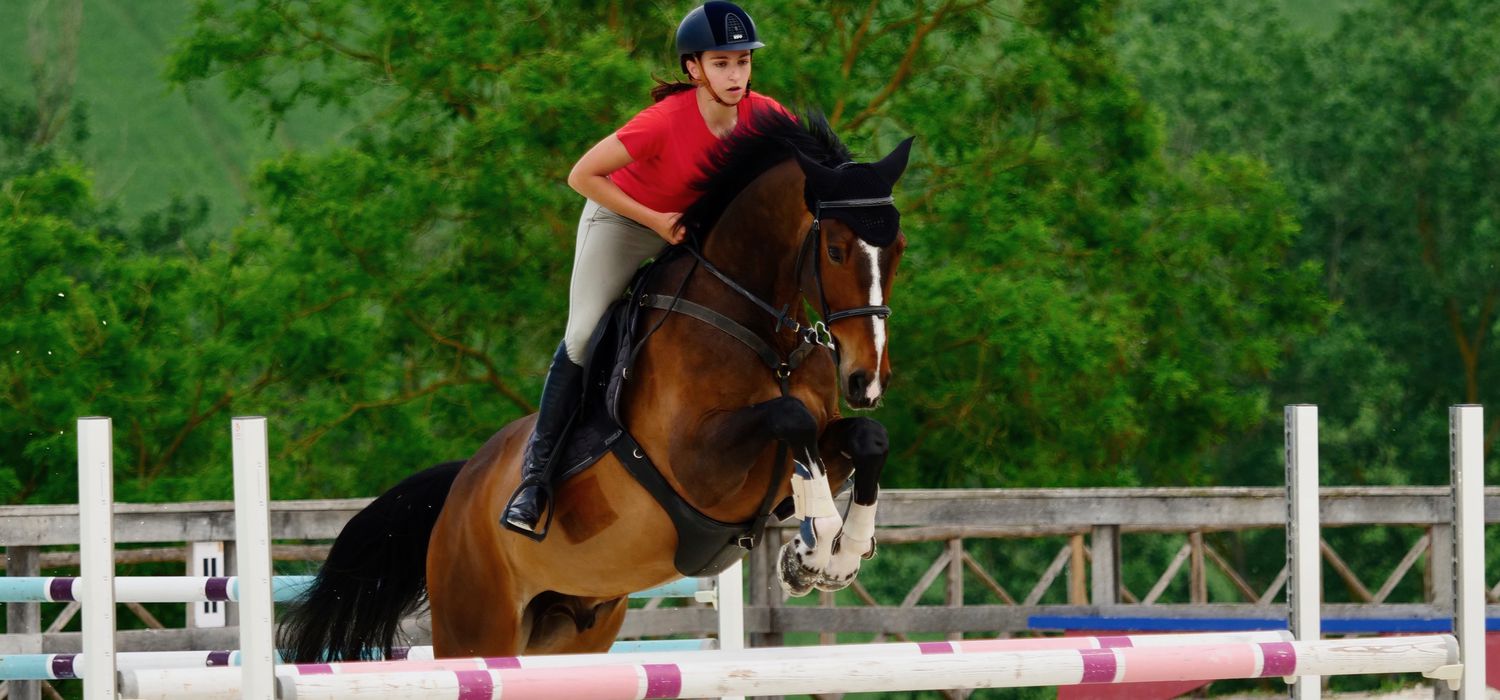 Photo from the Marche Showjumping Centre ride.