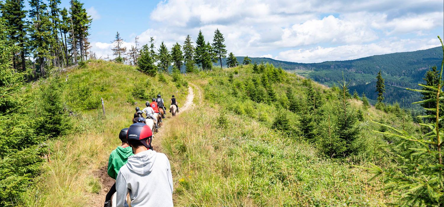 Photo from the Icelandics in Carpathia (Romania) ride.