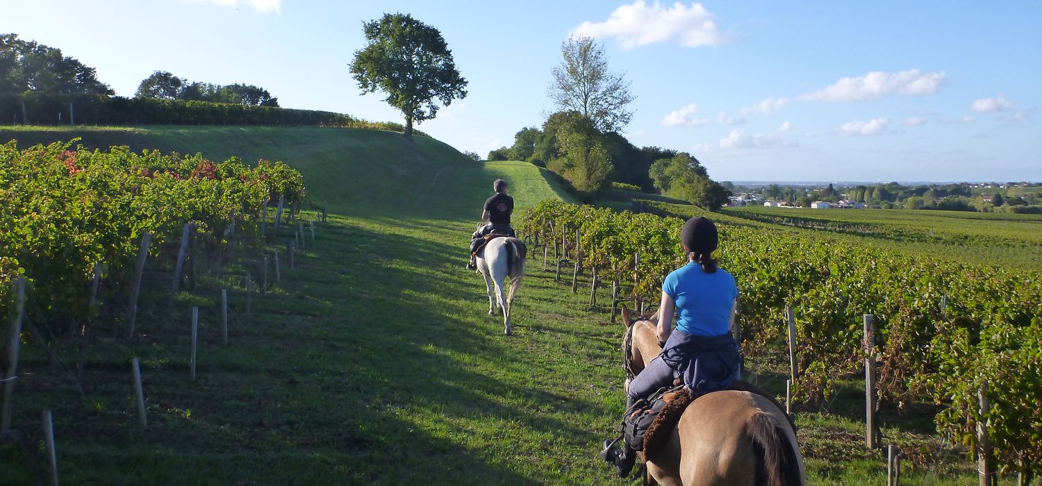 Photo from the Bordeaux Wines (France) ride.