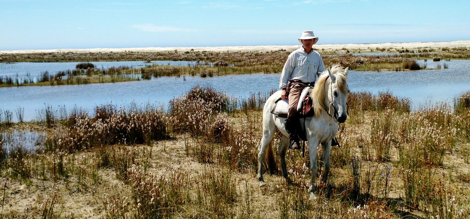 Photo from the Lagoa do Peixe National Park (Brazil) ride.