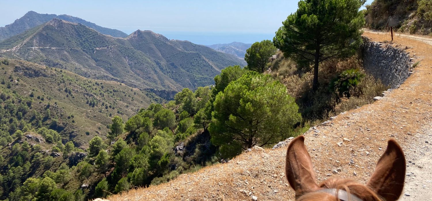 Photo from the Axarquia Mountain Hideaway (Spain) ride.