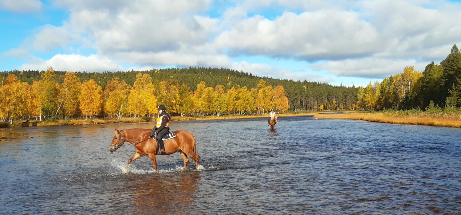 Photo from the Finnish Lapland Trails ride.