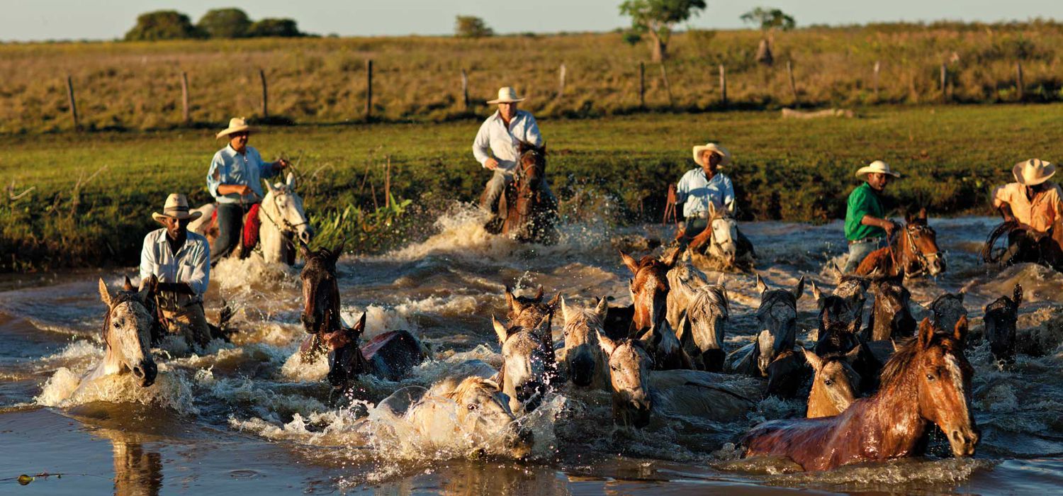 Photo from the Pantanal Safari ride.