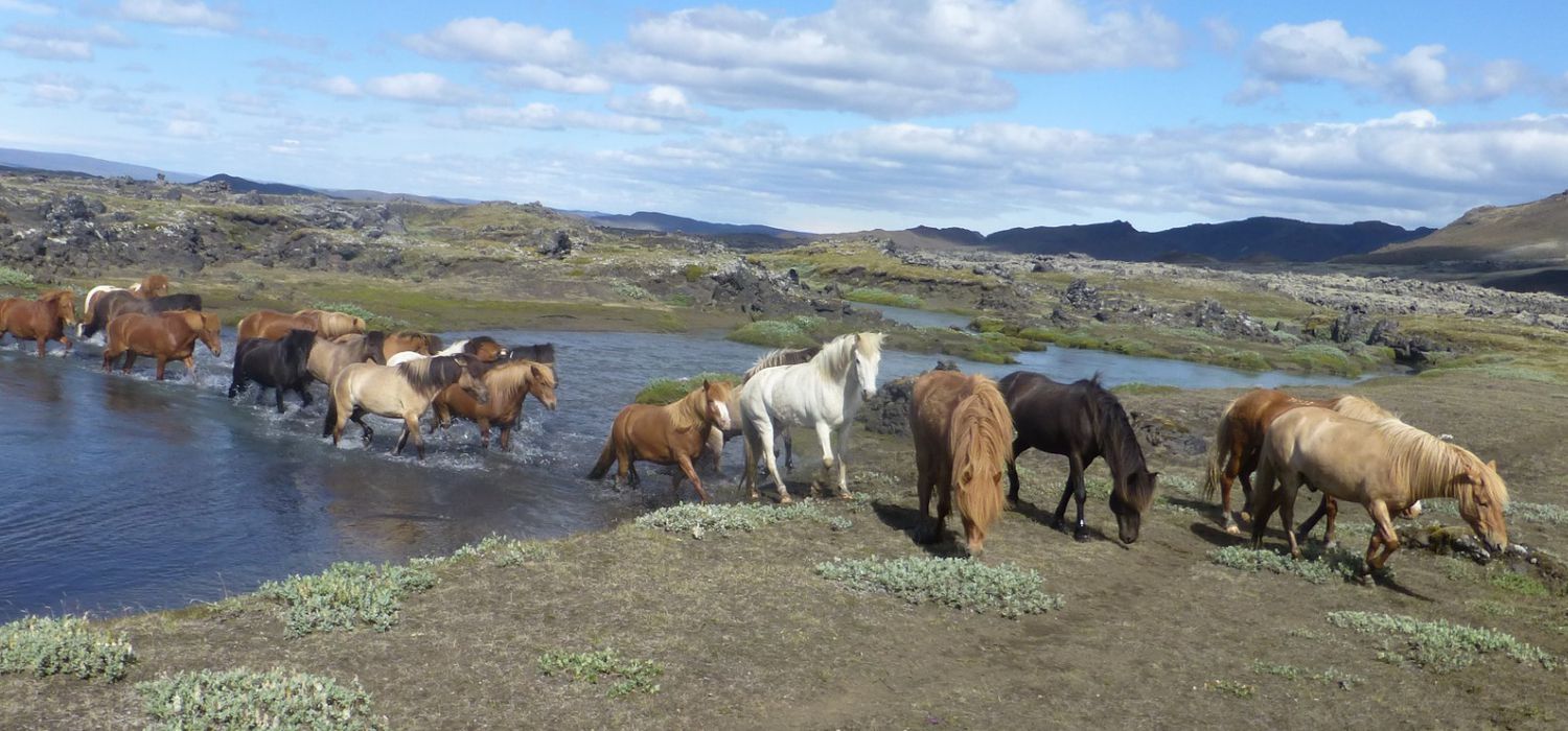 Photo from the Southern Comfort (Iceland) ride.