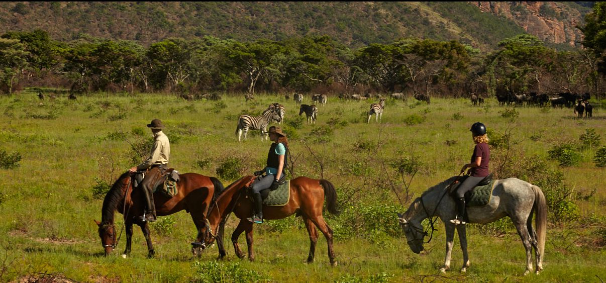 Photo from the Waterberg Big Five Safari (South Africa) ride.