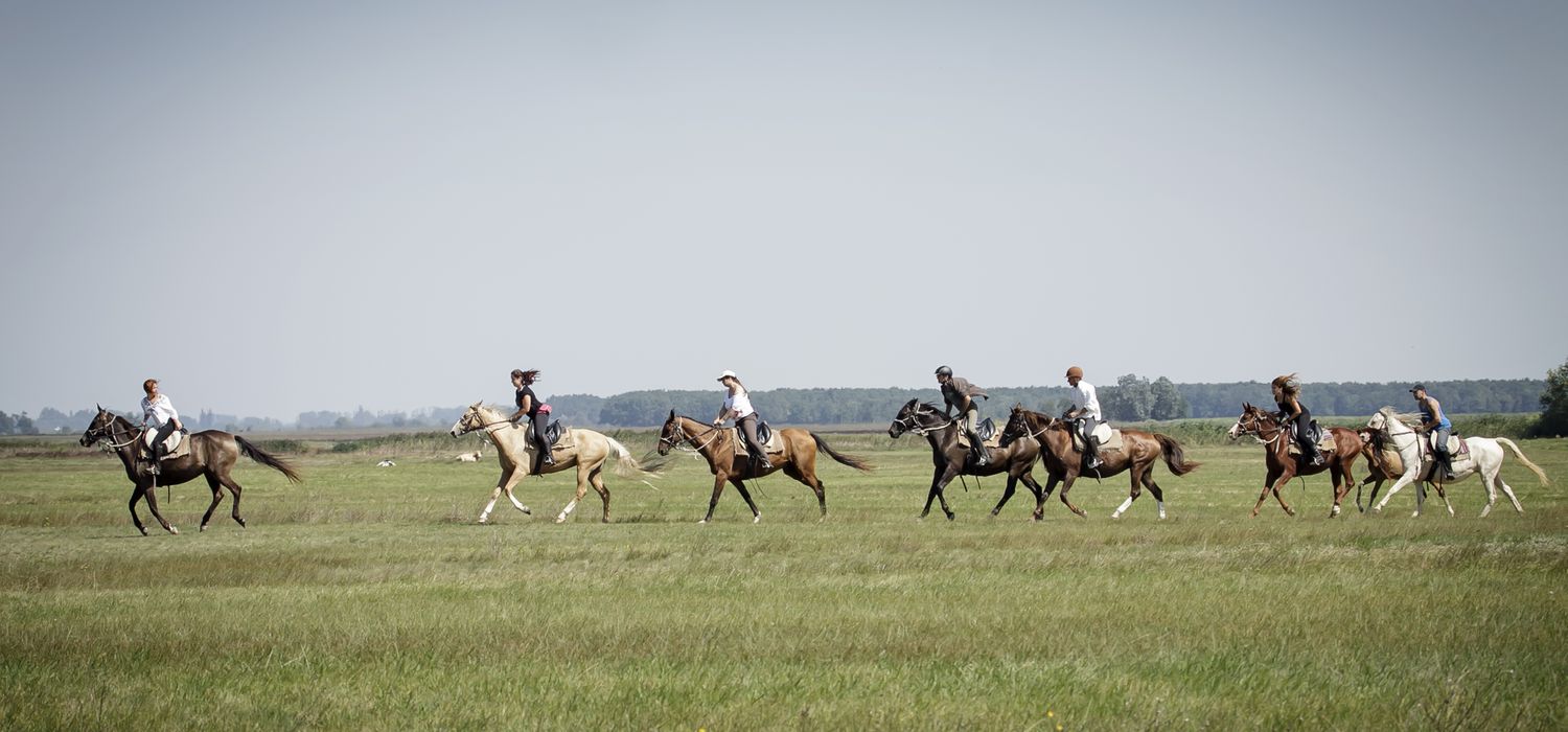 Photo from the Akhal Teke Puszta Trails (Hungary) ride.