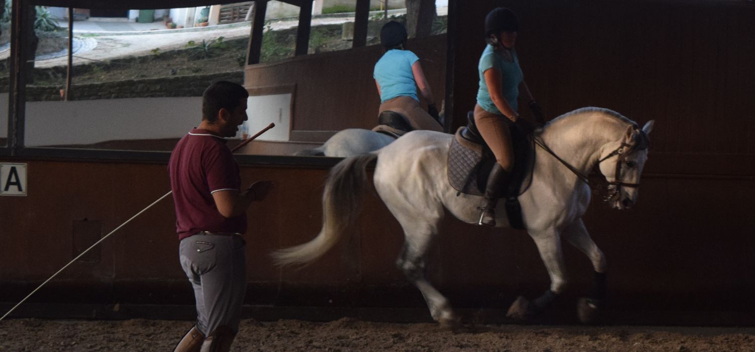 Photo from the Lusitano Dressage (Portugal) ride.
