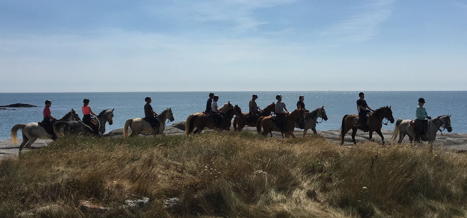 Photo from the Brittany and Normandy ride.