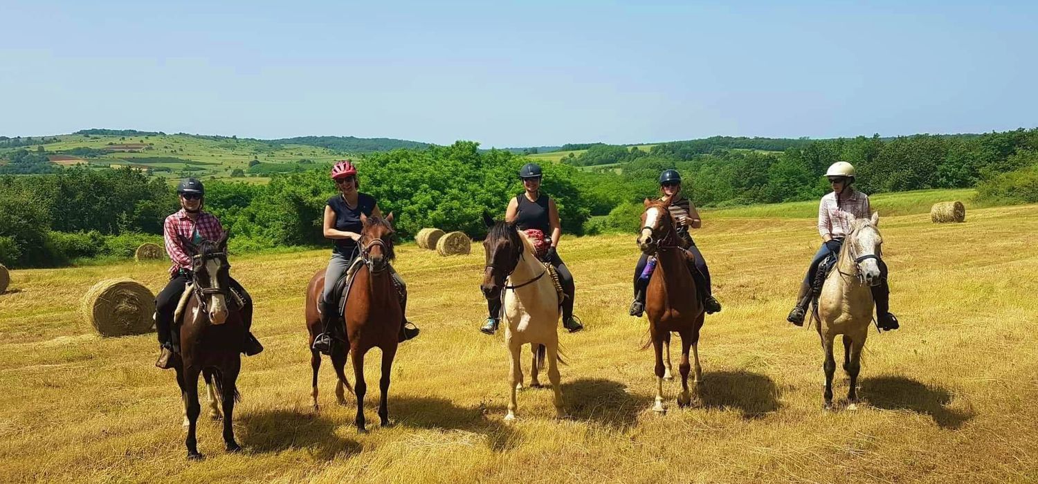 Photo from the Magic of Istria ride.