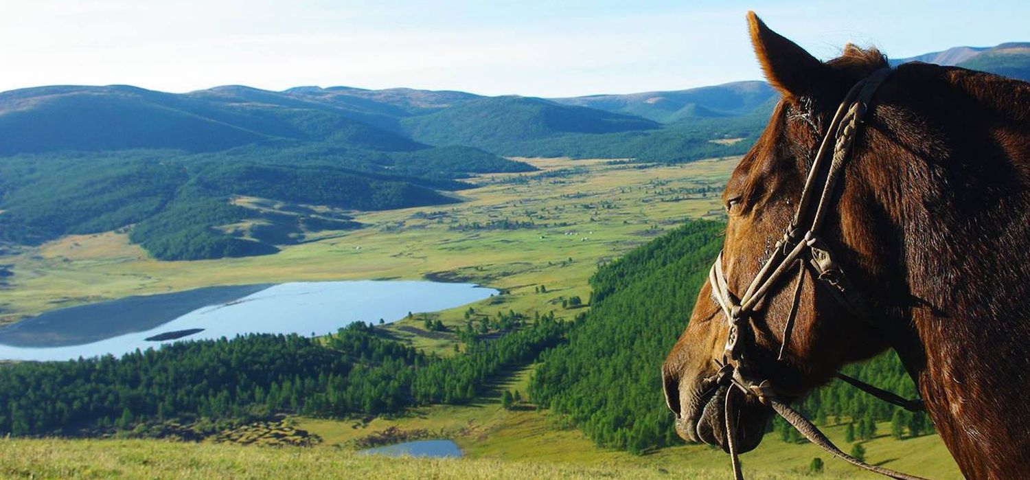 Photo from the TransMongolia Trail ride.