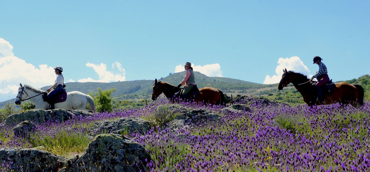 Photo from the Segovia Trails ride.