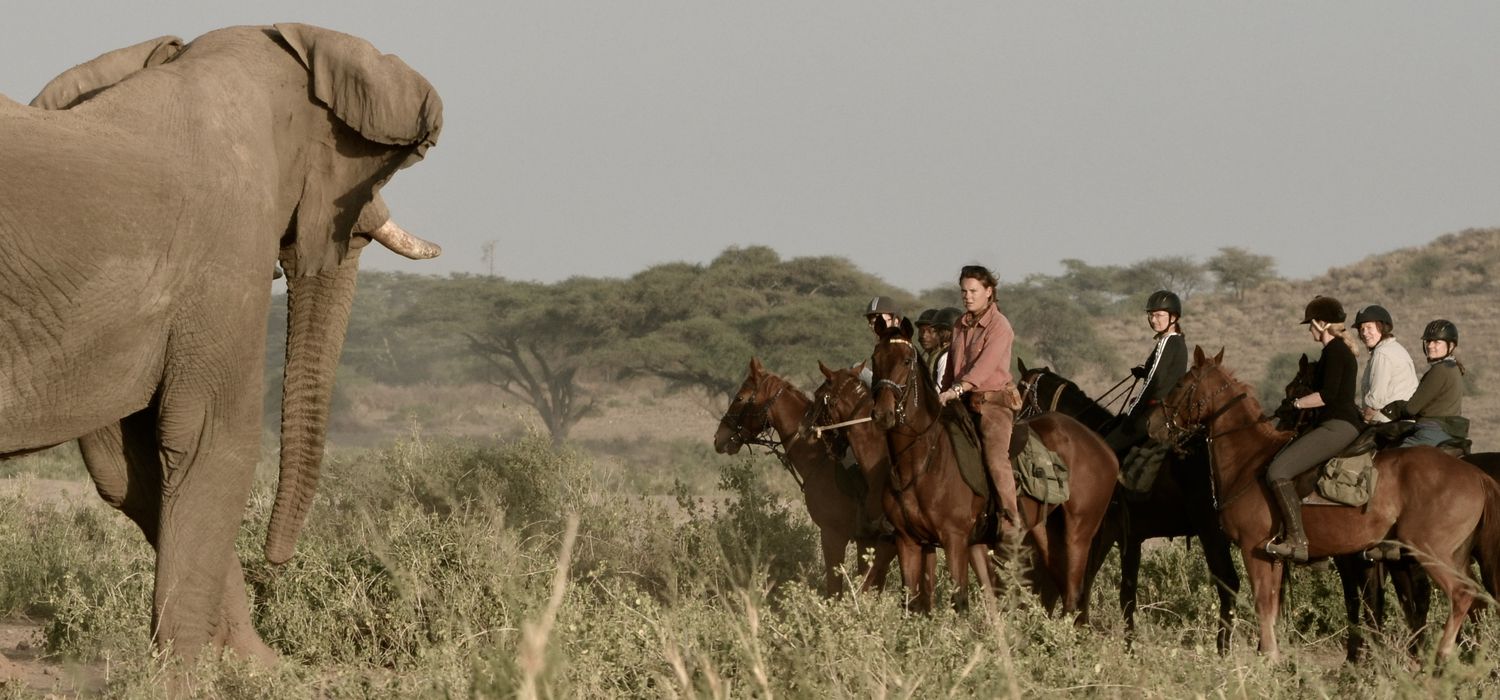 Photo from the Kaskazi Horse Safaris ride.