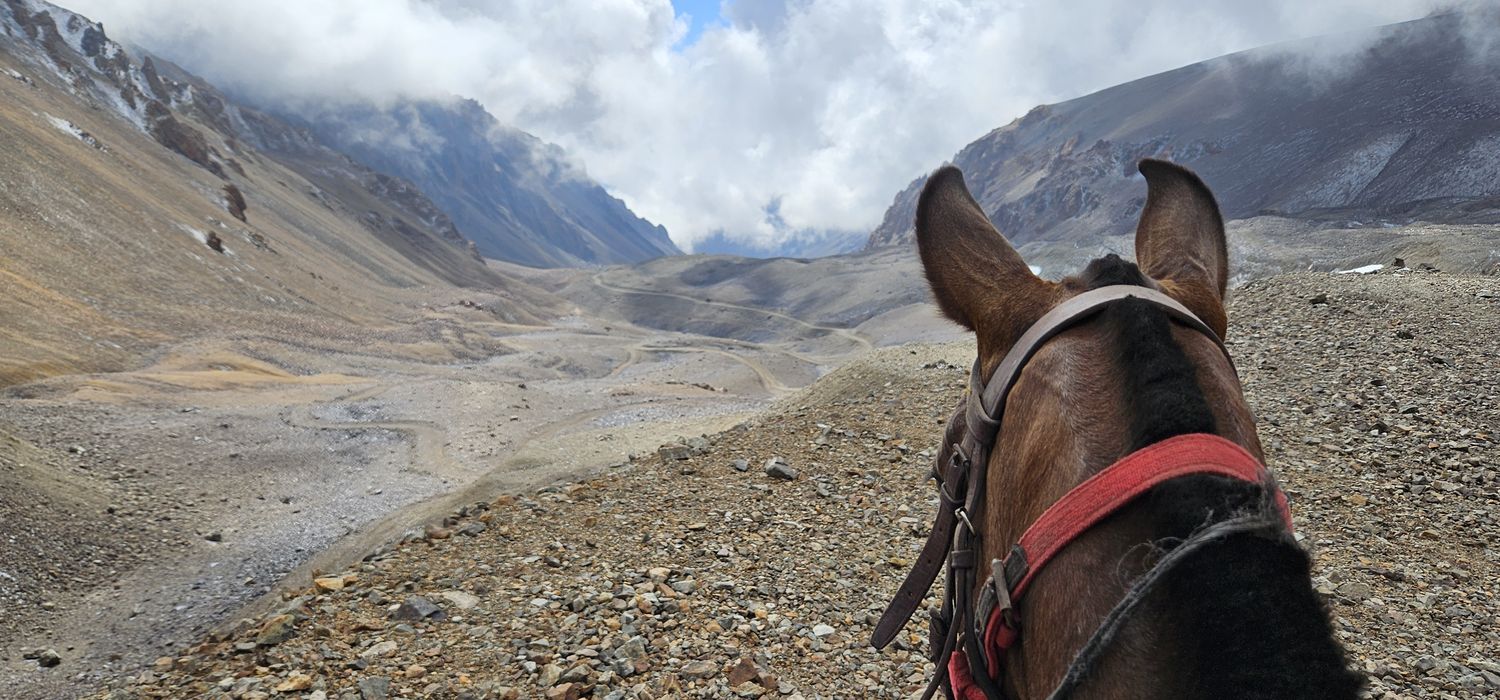 Photo from the Across the Andes ride.