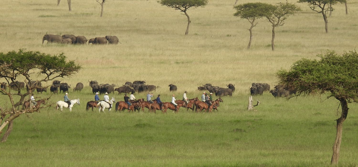 Photo from the Offbeat Safaris ride.