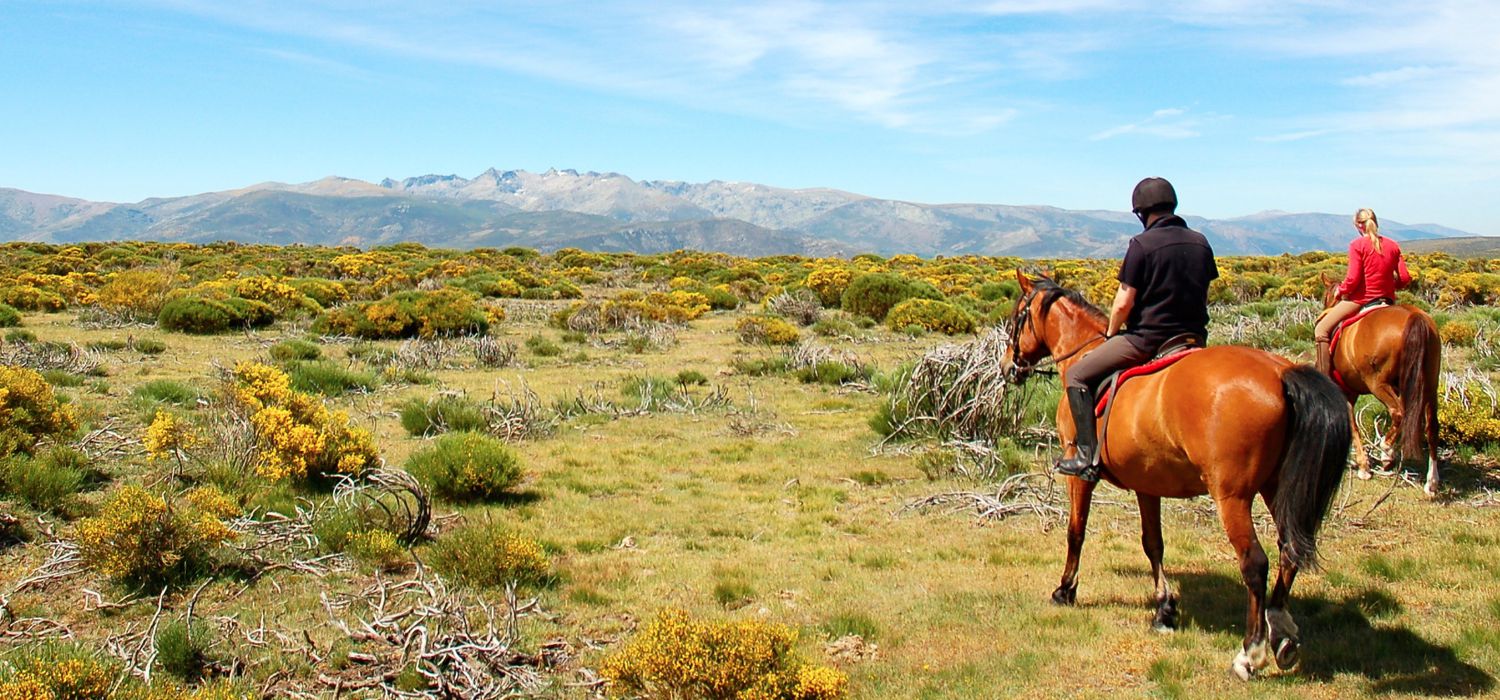 Photo from the Gredos Mountains (Spain) ride.