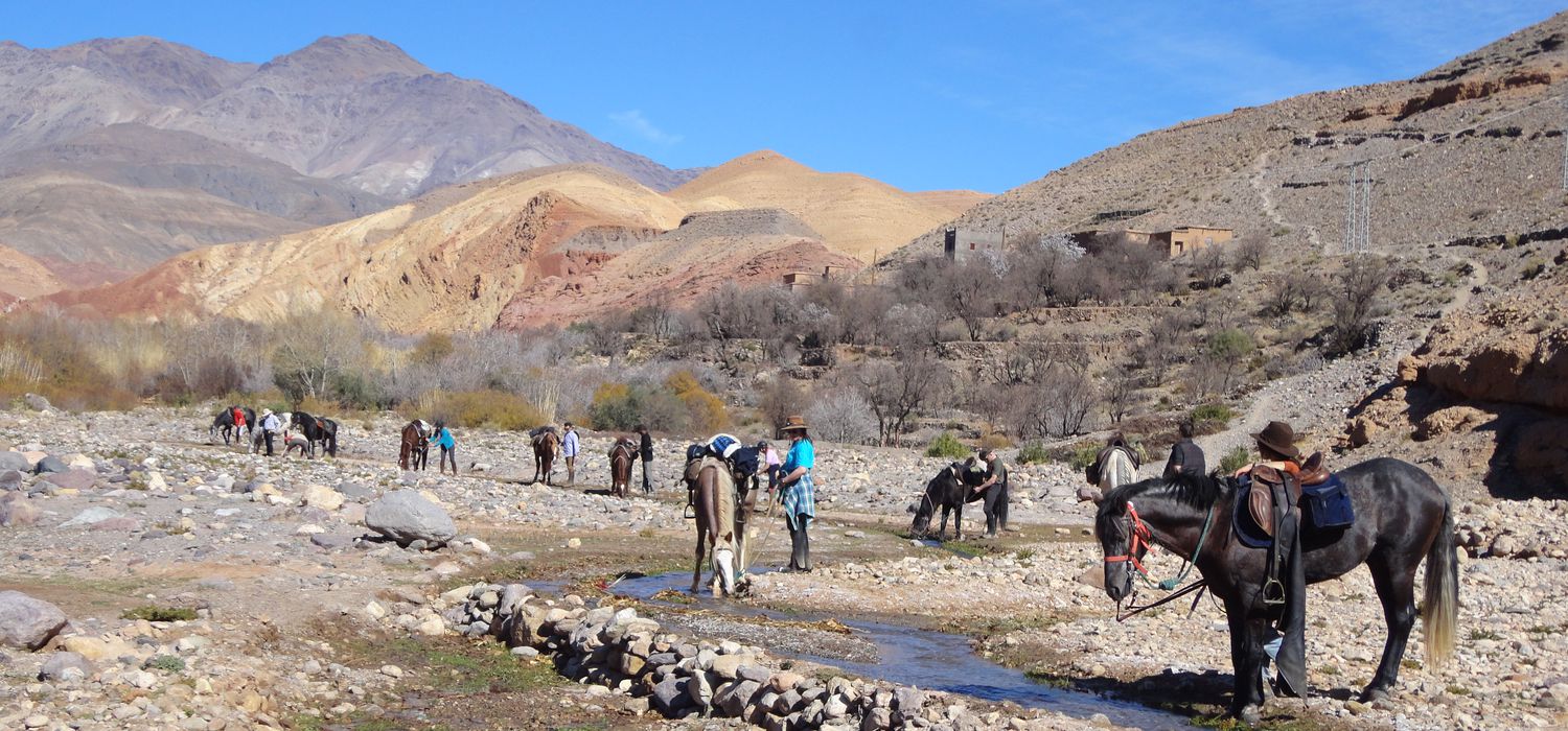 Photo from the Ouarzazate ride.