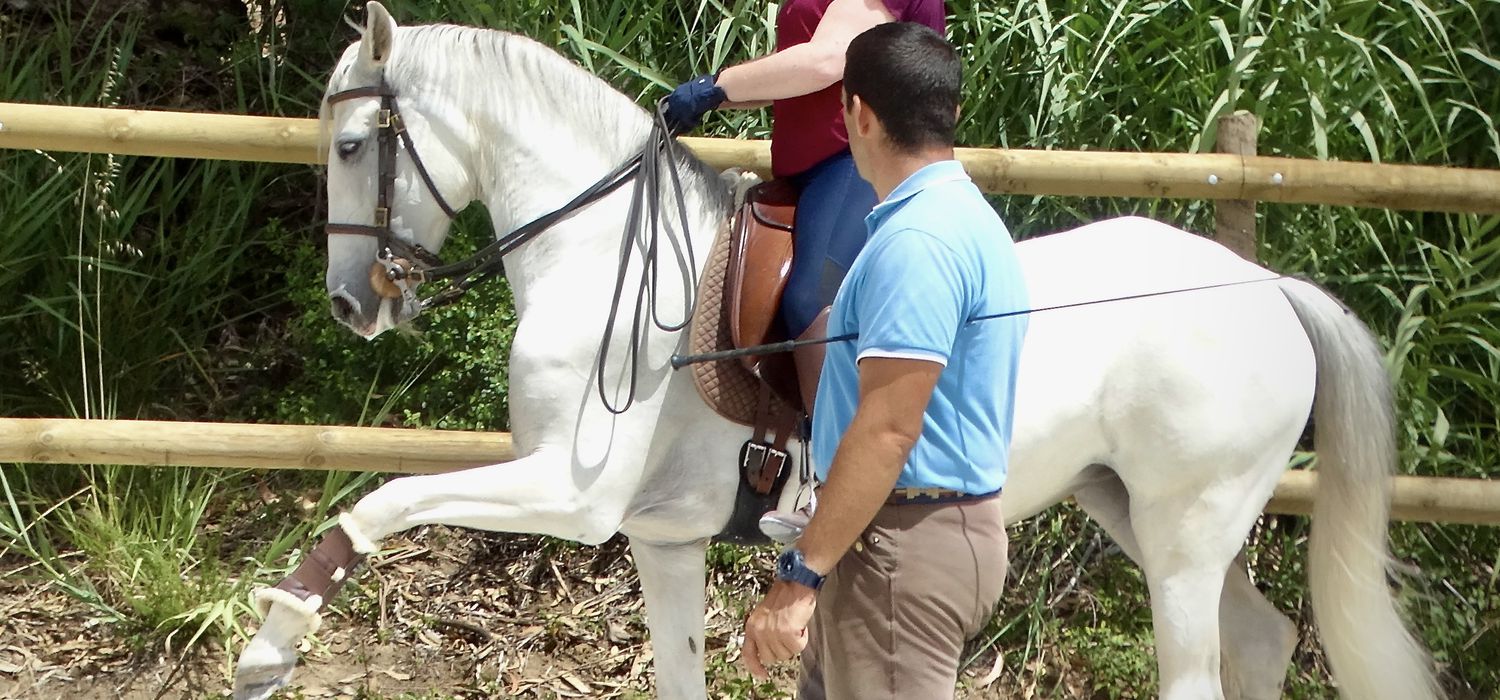 Photo from the Lusitano Dressage ride.