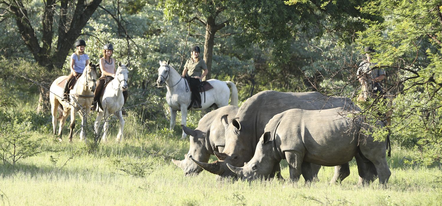 Photo from the Ant Africa Safaris ride.