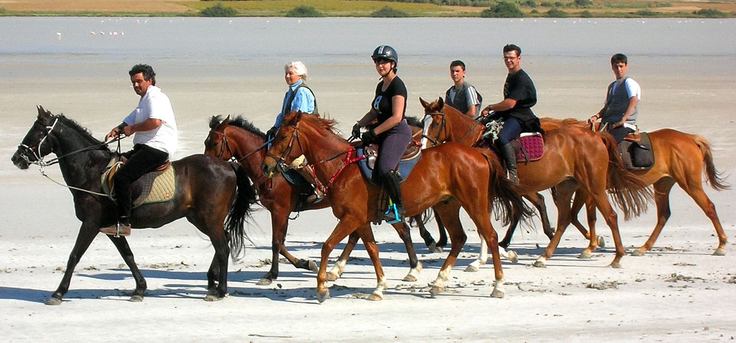 Photo from the Sea & Pine Forest (Sardinia) ride.