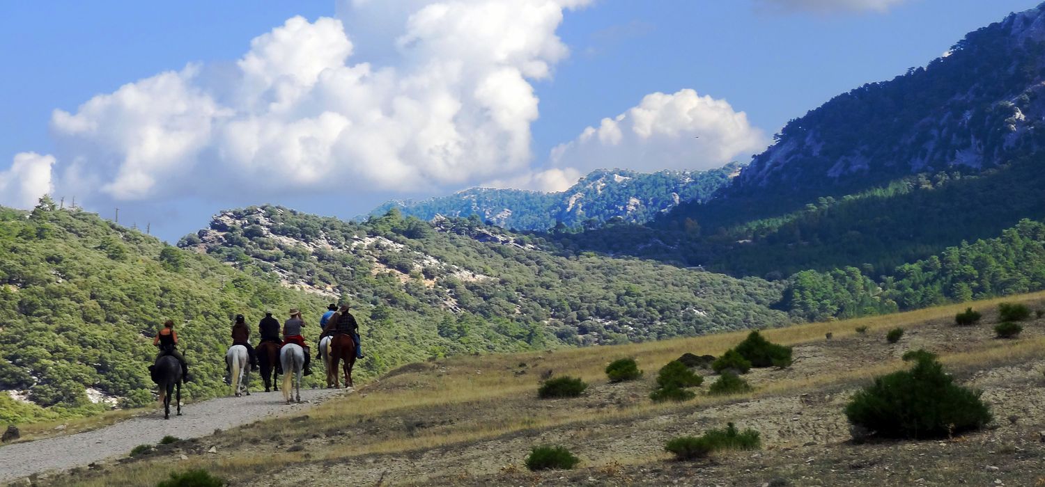 Photo from the Sierra Nevada Trails ride.