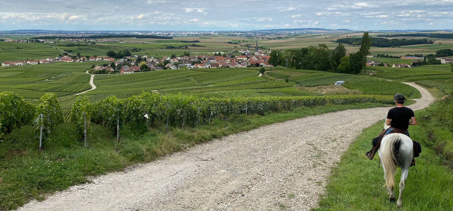 Photo from the Vineyards of Champagne ride.