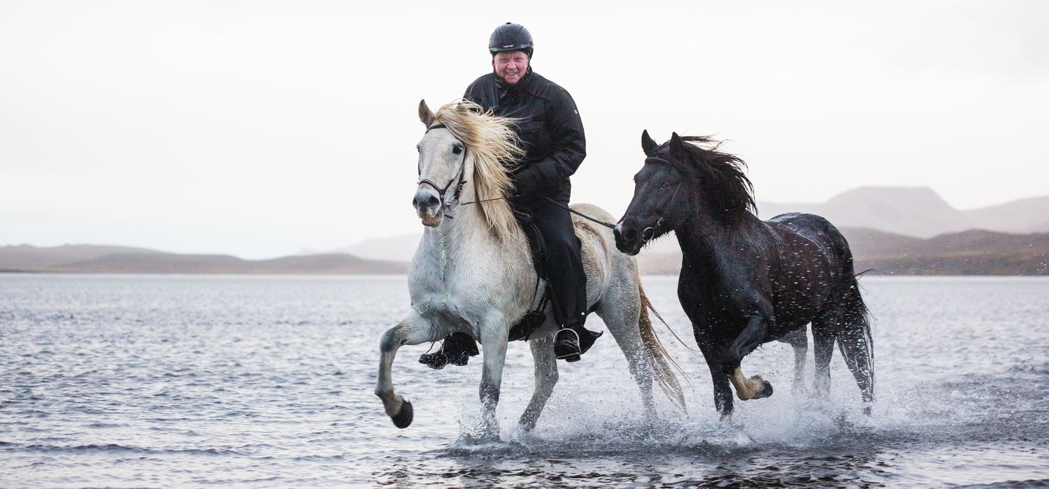 Photo from the Icelandic Horse Round Up (Iceland) ride.
