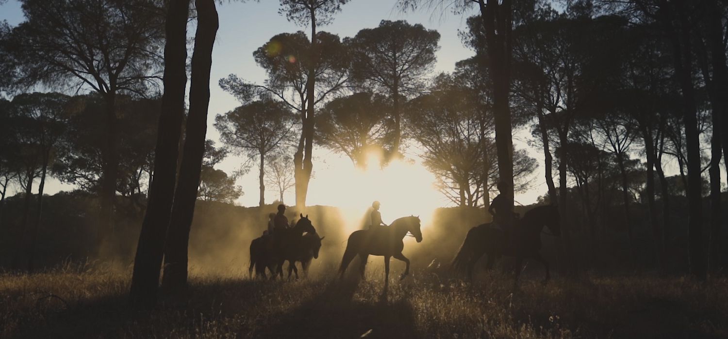 Photo from the DoƱana Dressage & Trails ride.