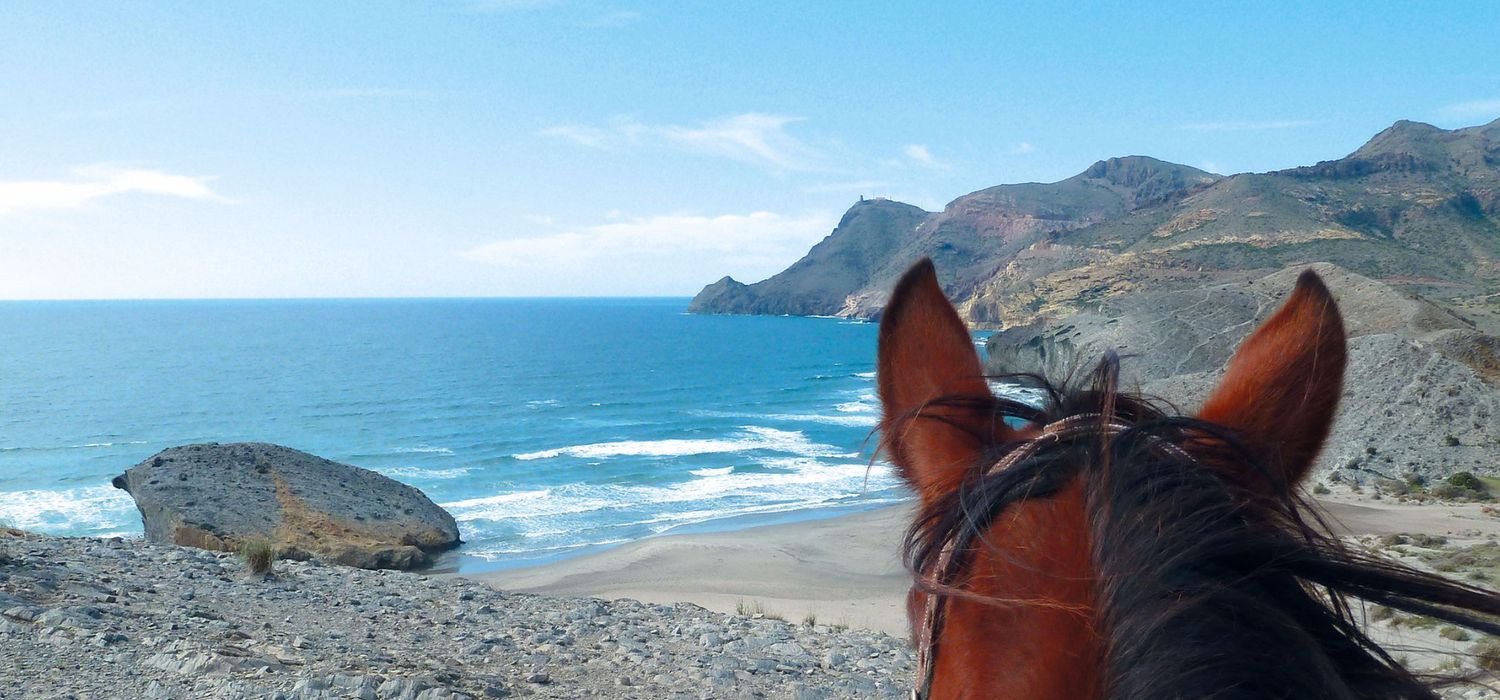 Photo from the Almeria ride.