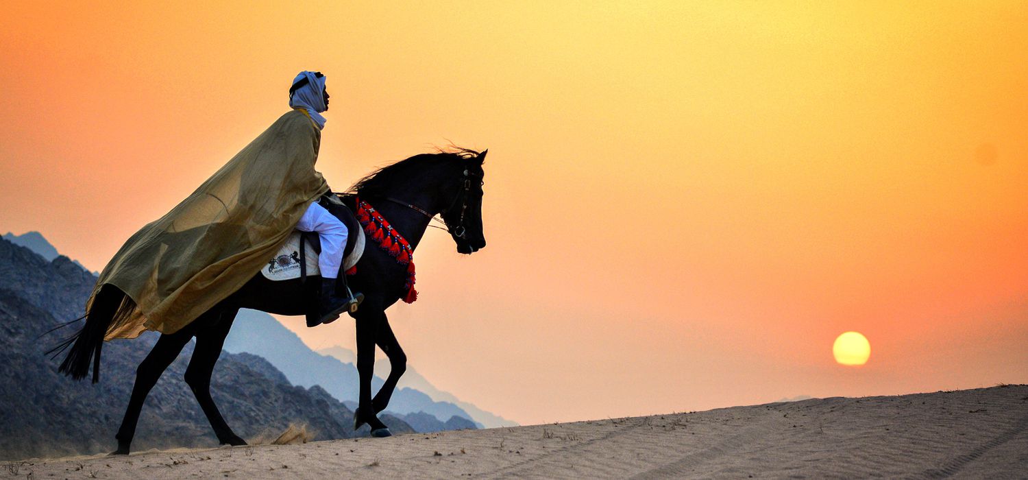 Photo from the Temples, Tombs and Beaches (Egypt) ride.