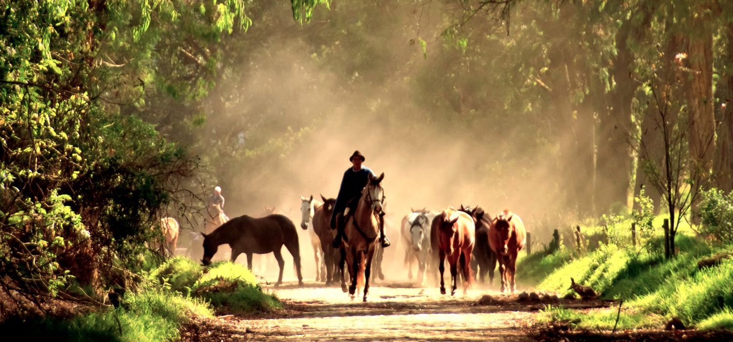 Photo from the Hacienda Zuleta (Ecuador) ride.