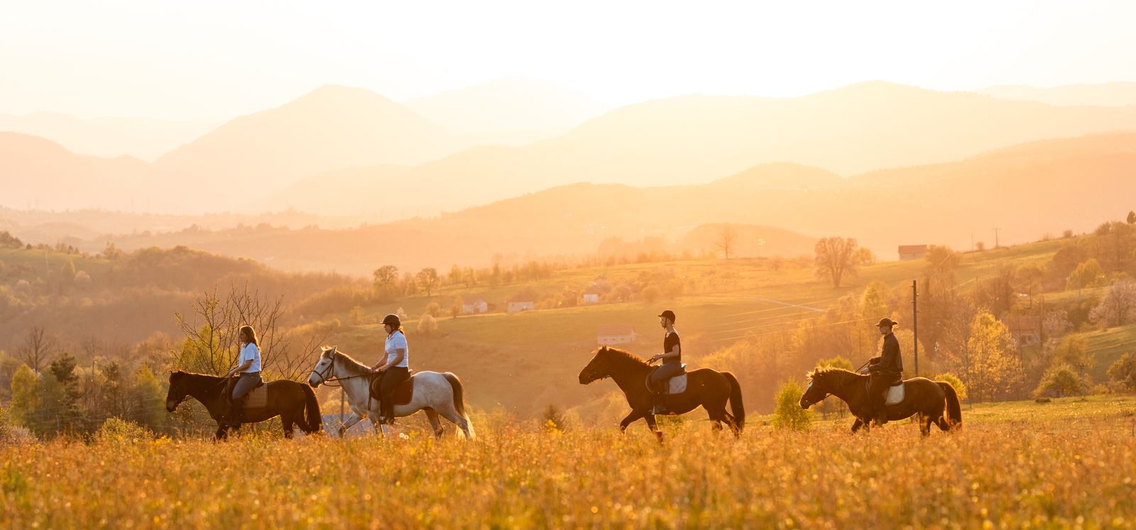 A view of the Živa Farm ride in Serbia