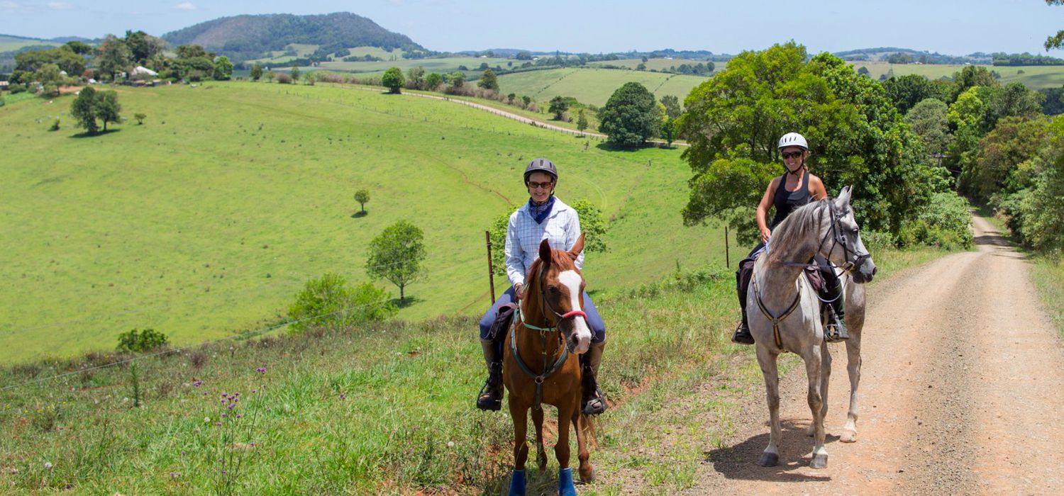 Photo from the Kerewong State Forest, NSW (Australia) ride.